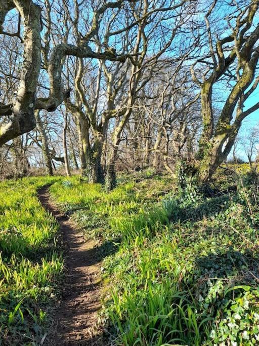Cosy Country Getaway, 5 Mins From The Sea Villa Penzance Buitenkant foto