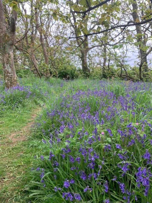 Cosy Country Getaway, 5 Mins From The Sea Villa Penzance Buitenkant foto